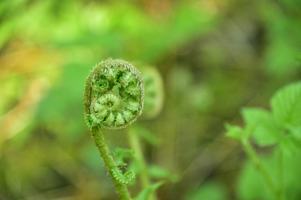 Фотография автора OVIDIU-IOAN TICU