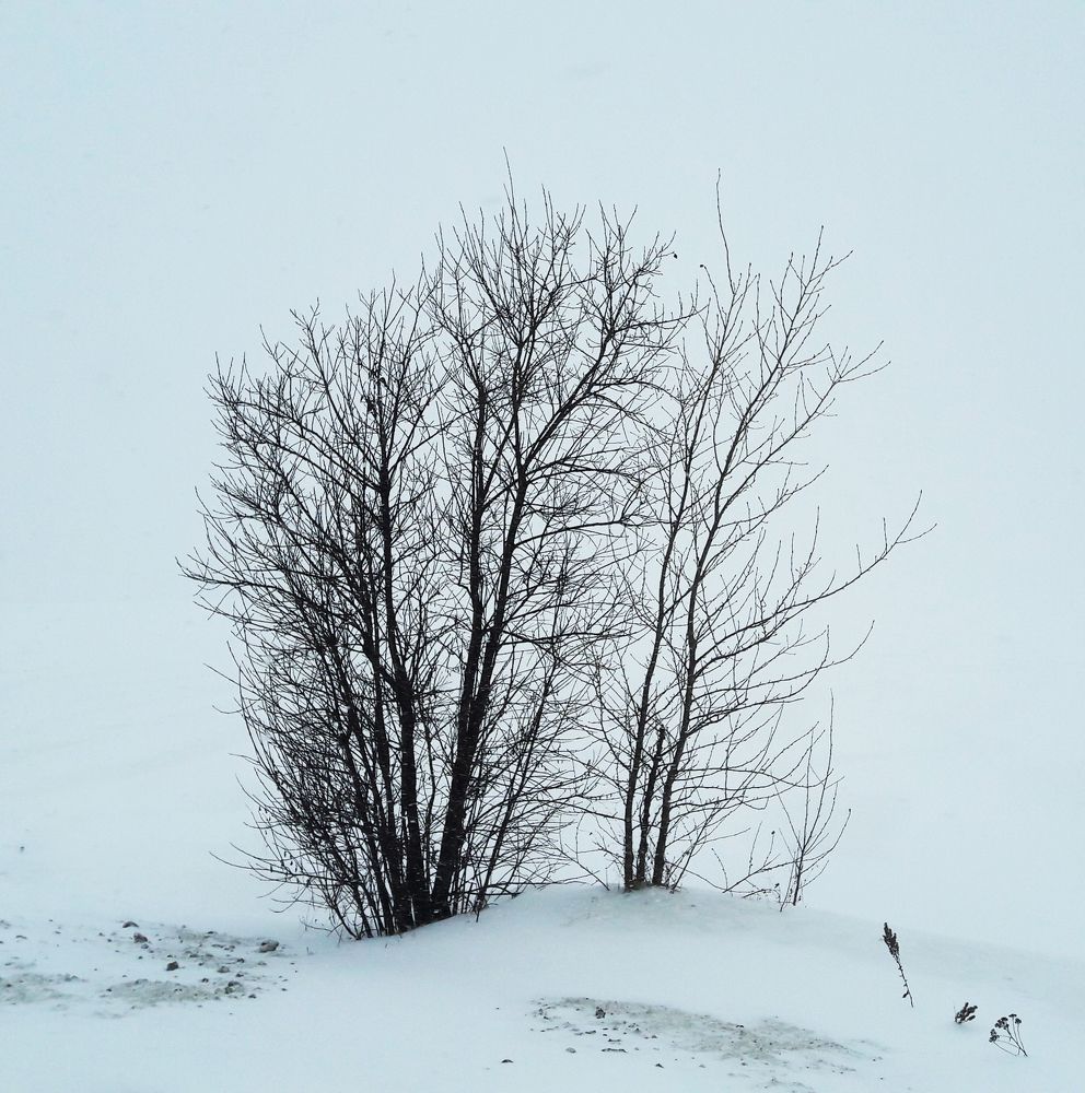 Photograph by Надежда