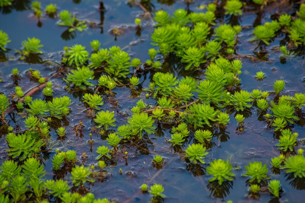 Фотография автора OVIDIU-IOAN TICU