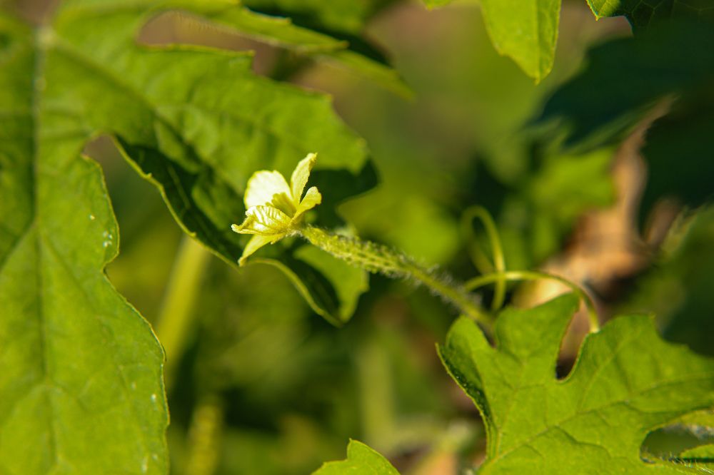 Photograph by Ирина Дмитриенко