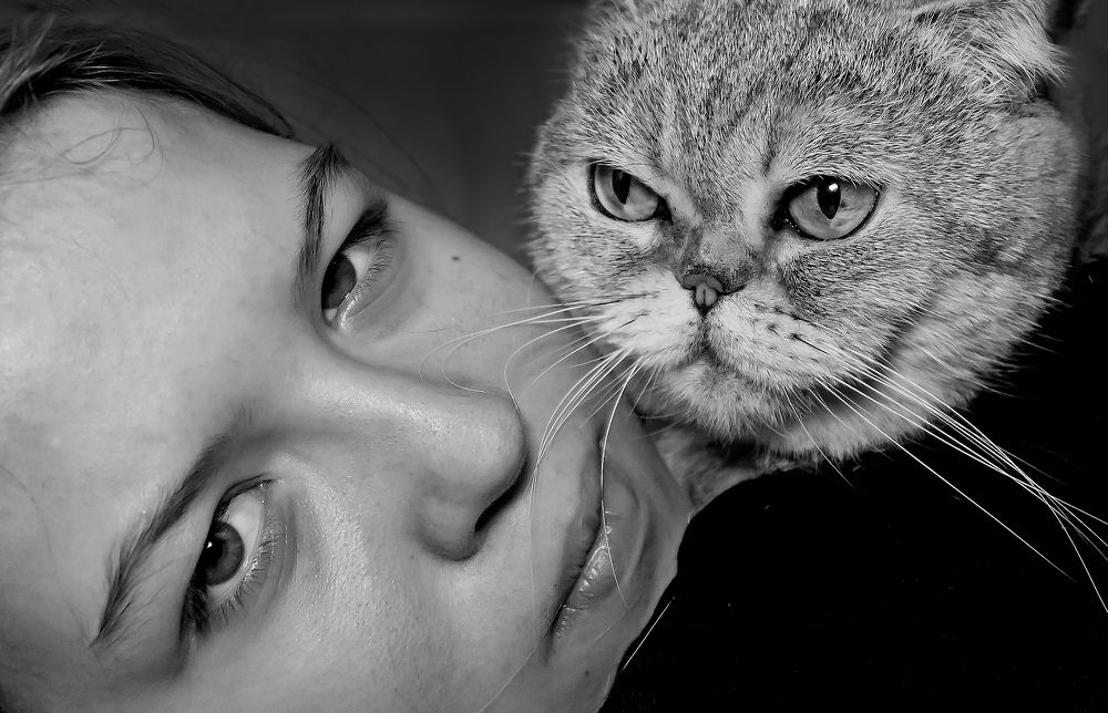 Photograph by Любовь Дворникова