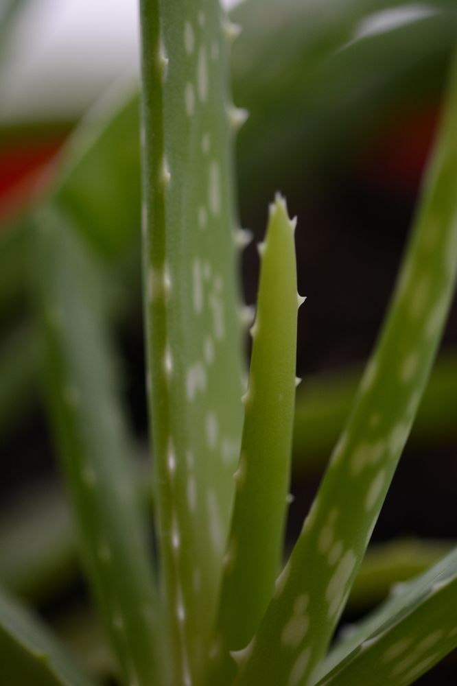 Фотография автора OVIDIU-IOAN TICU