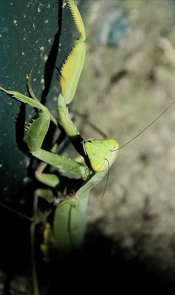 Photograph by Ирина Тихая