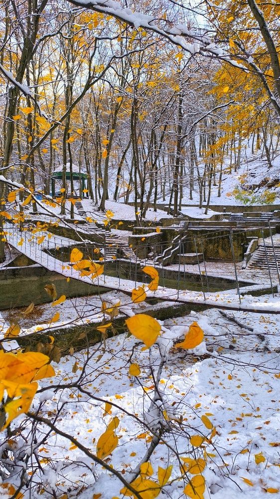 Photograph by Ирина Подосинникова