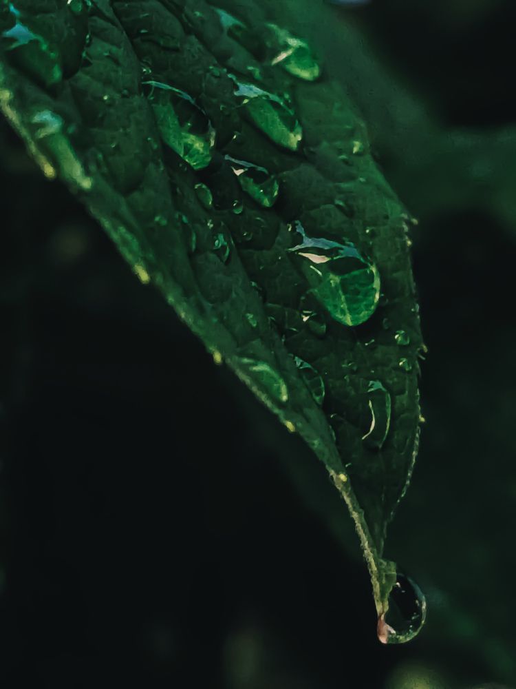 Photograph by Эльмира Гайнутдинова