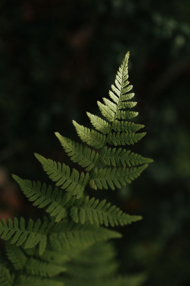 Photograph by Анна Бобкова