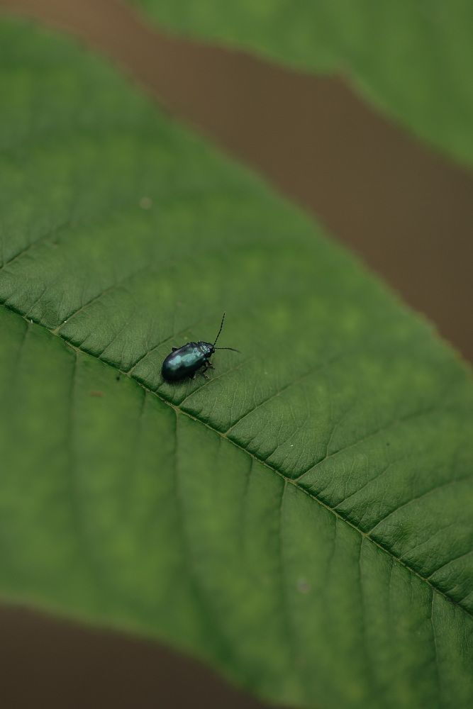 Photograph by Анна Бобкова