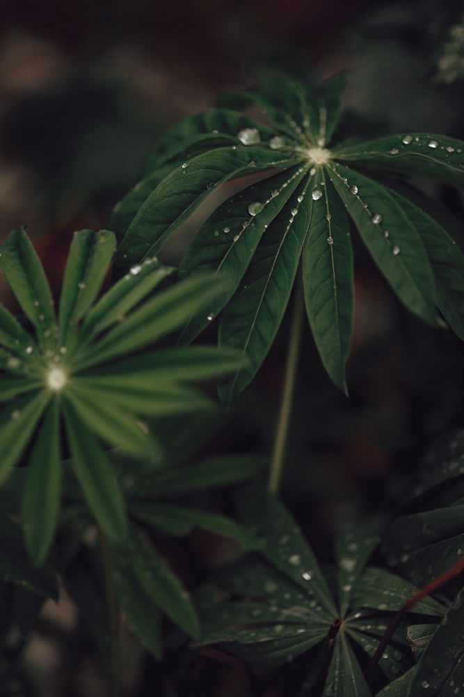 Photograph by Анна Бобкова