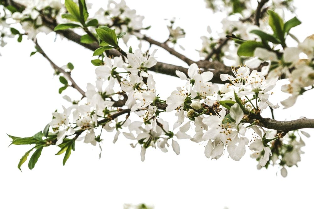 Photograph by Елизавета Большакова