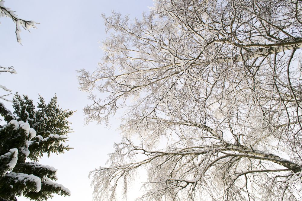 Photograph by Елизавета Большакова