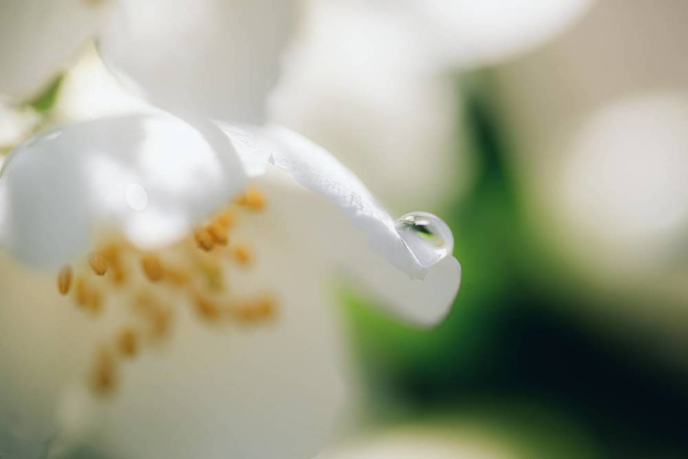 Photograph by Анна Бобкова