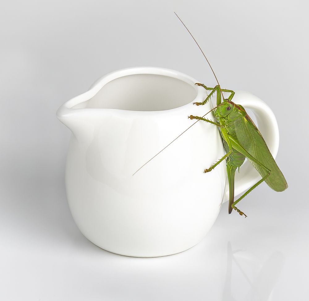 Фотография автора Евгений Печенин