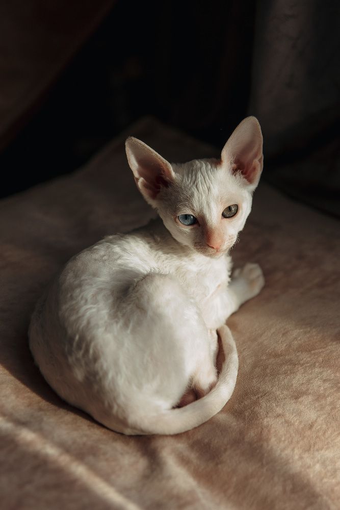 Photograph by Анна Бобкова