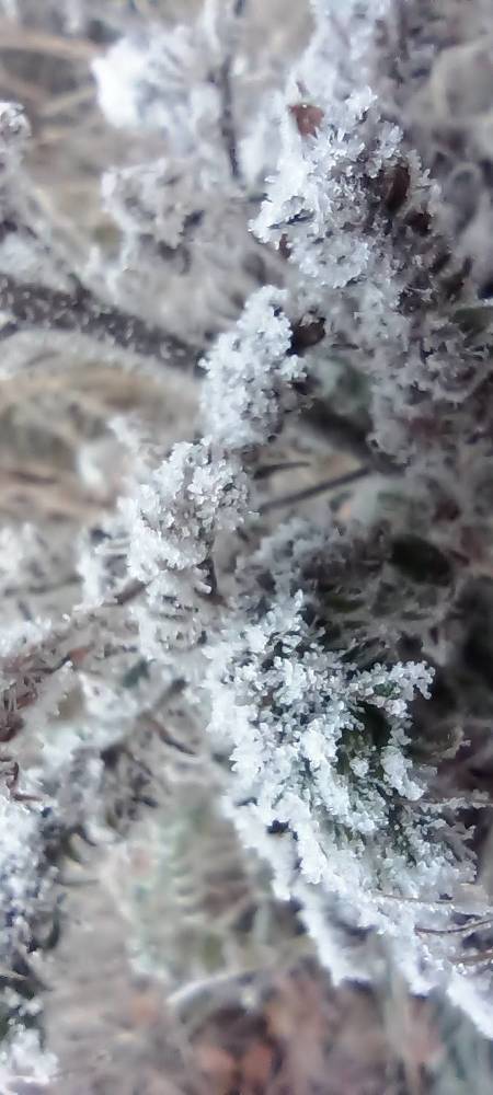 Photograph by Данил Костин