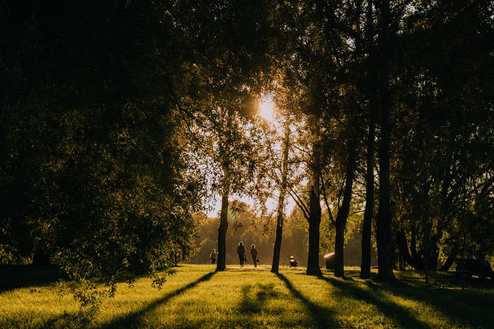 Photograph by Рина Адрианова