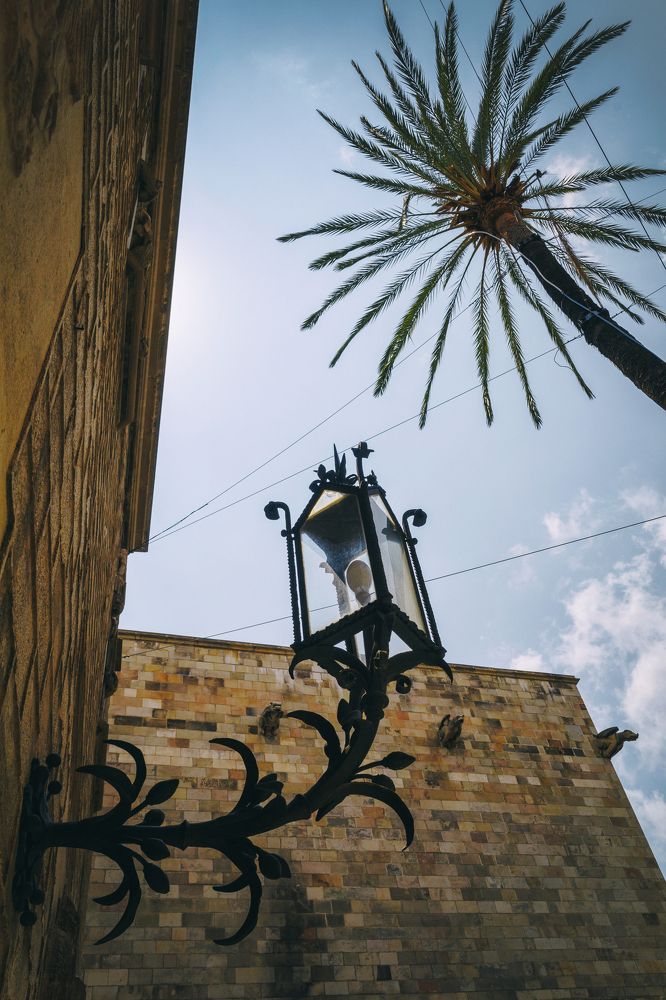 Фотография автора Lija Mezecka