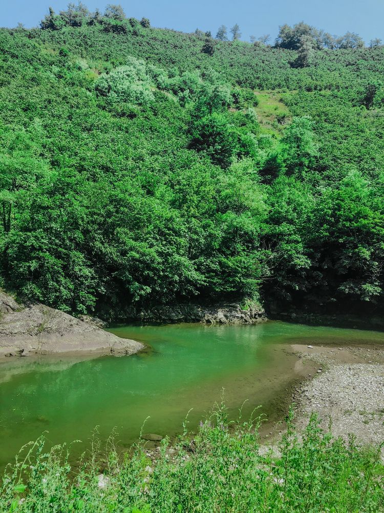 Фотография автора Карина Даутова