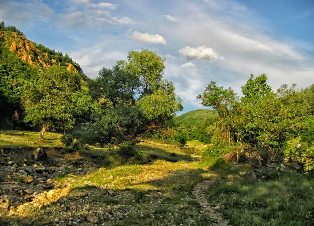 Фотография автора Milena Ivanova