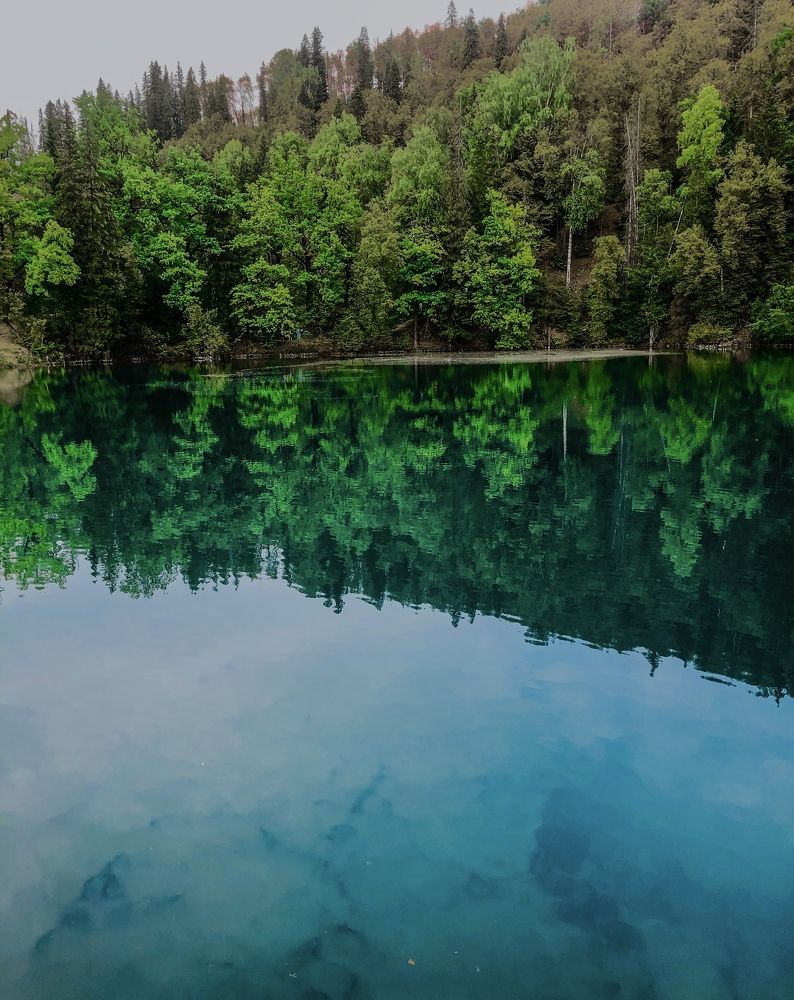 Фотография автора Карина Даутова