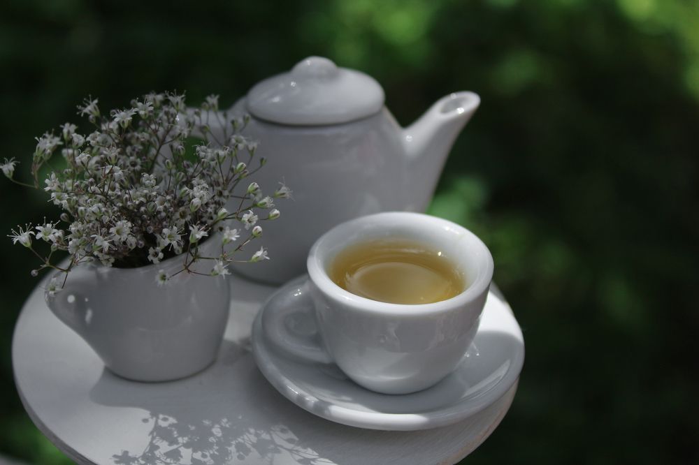 Photograph by Анна Зайченко