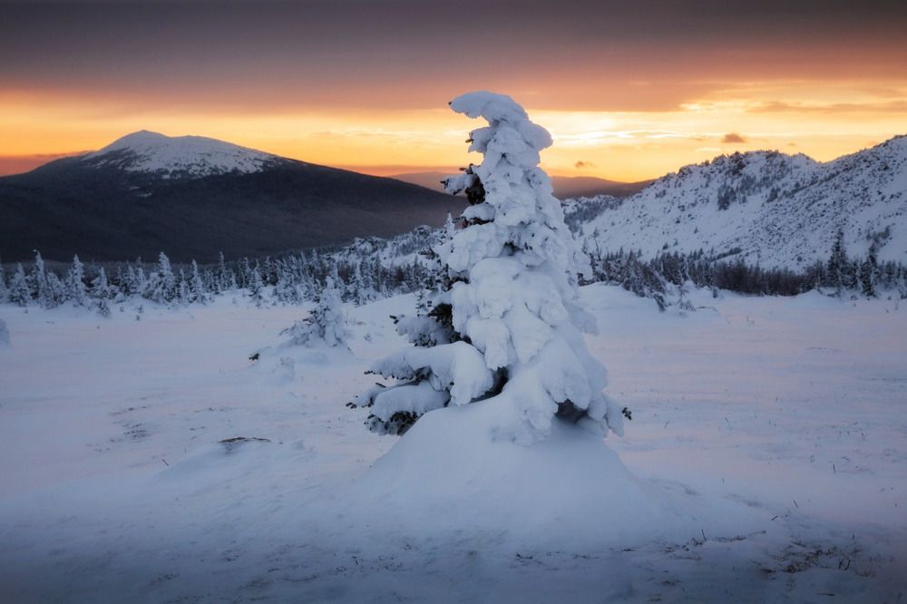 Photograph by Сергей Гарифуллин