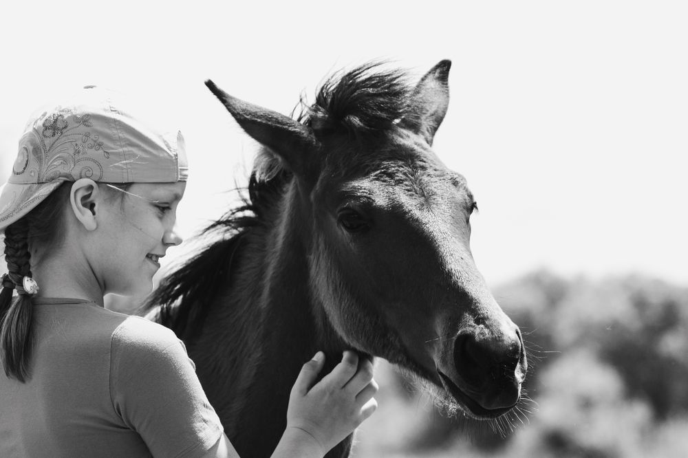 Photograph by Андрей Серый