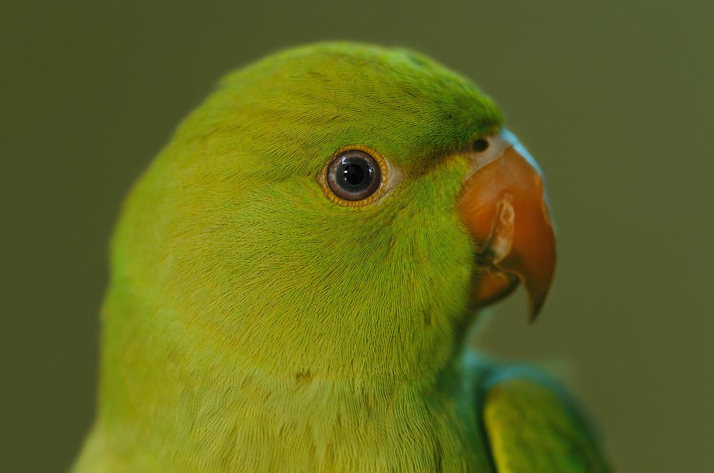 Photograph by Maryam Jassim