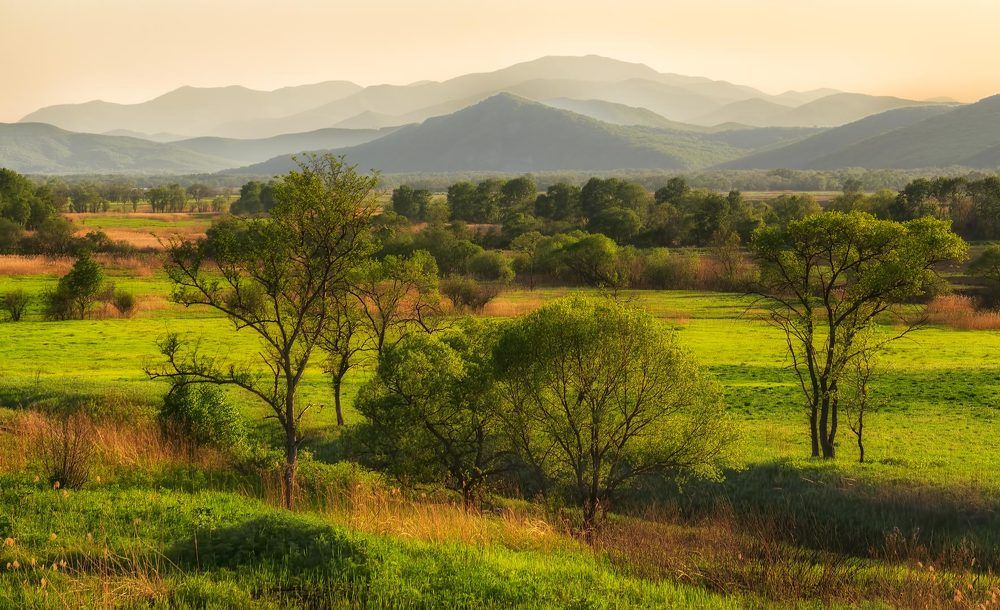 зелёный рай