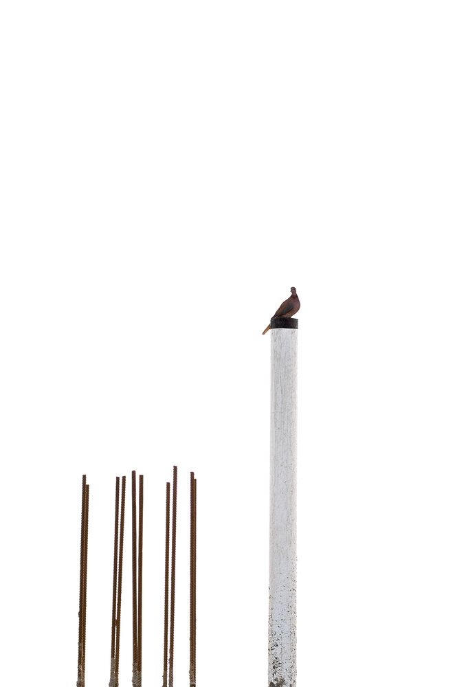 Photograph by Maryam Jassim