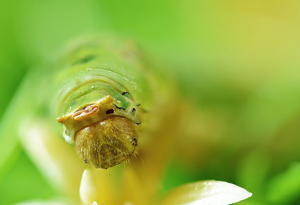 Photograph by Maryam Jassim