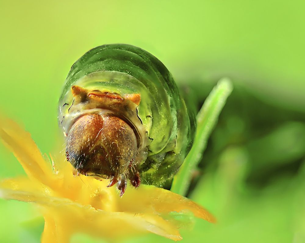 Photograph by Maryam Jassim