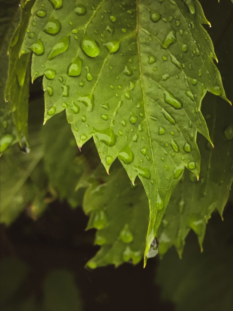 Photograph by Наталья Вистинь