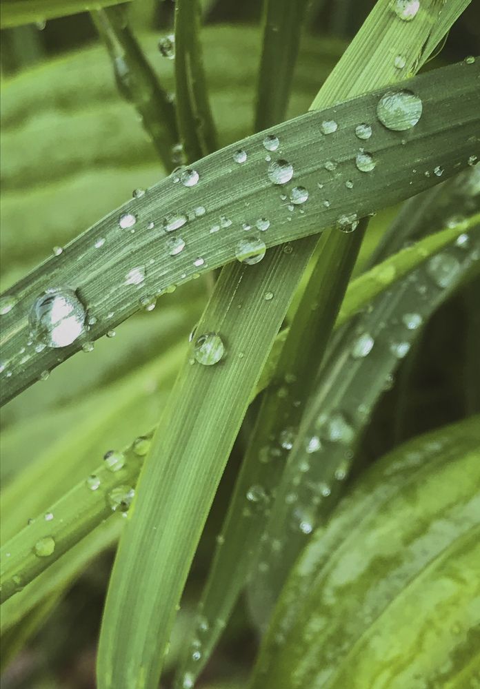 Photograph by Наталья Вистинь