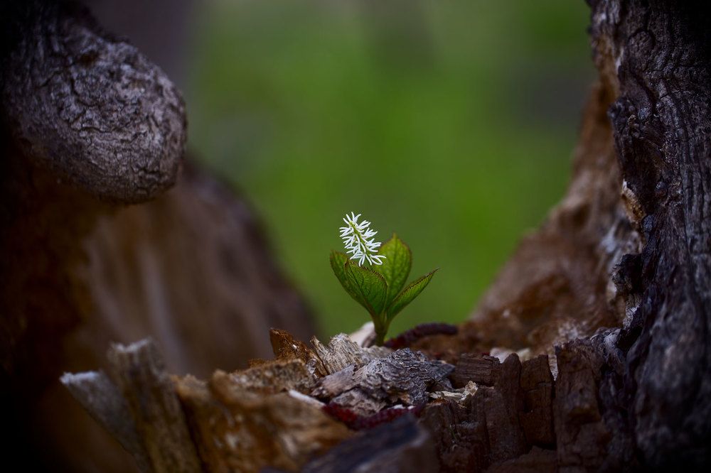 совсем один