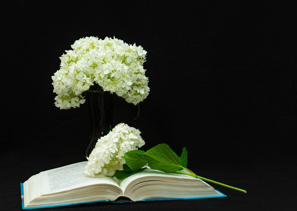 Фотография автора Aлексей Игнатьев