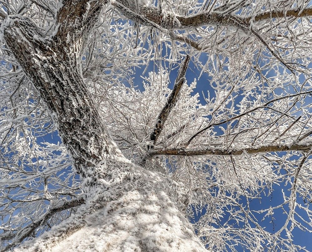 Photograph by Анна Стрелковская