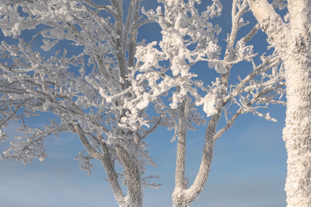 Photograph by Анна Стрелковская