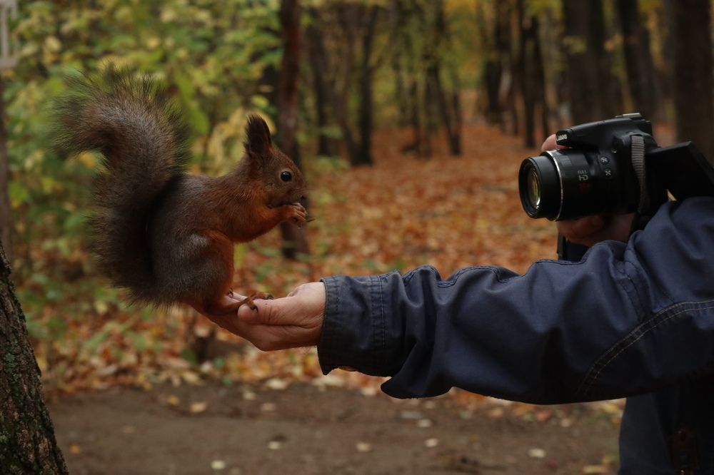 Photograph by Мария Глухова
