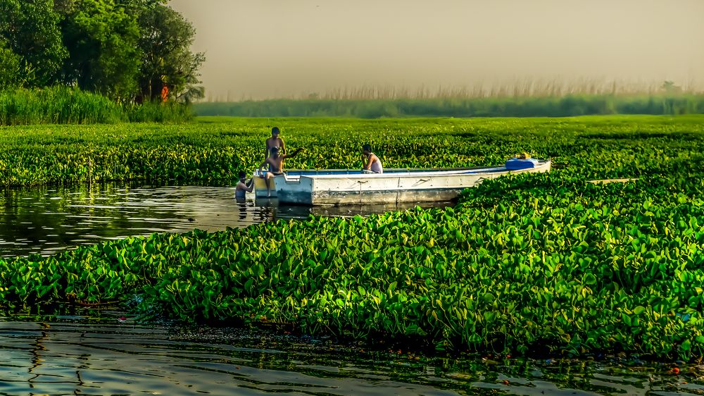 Фотография автора savitri Rawat