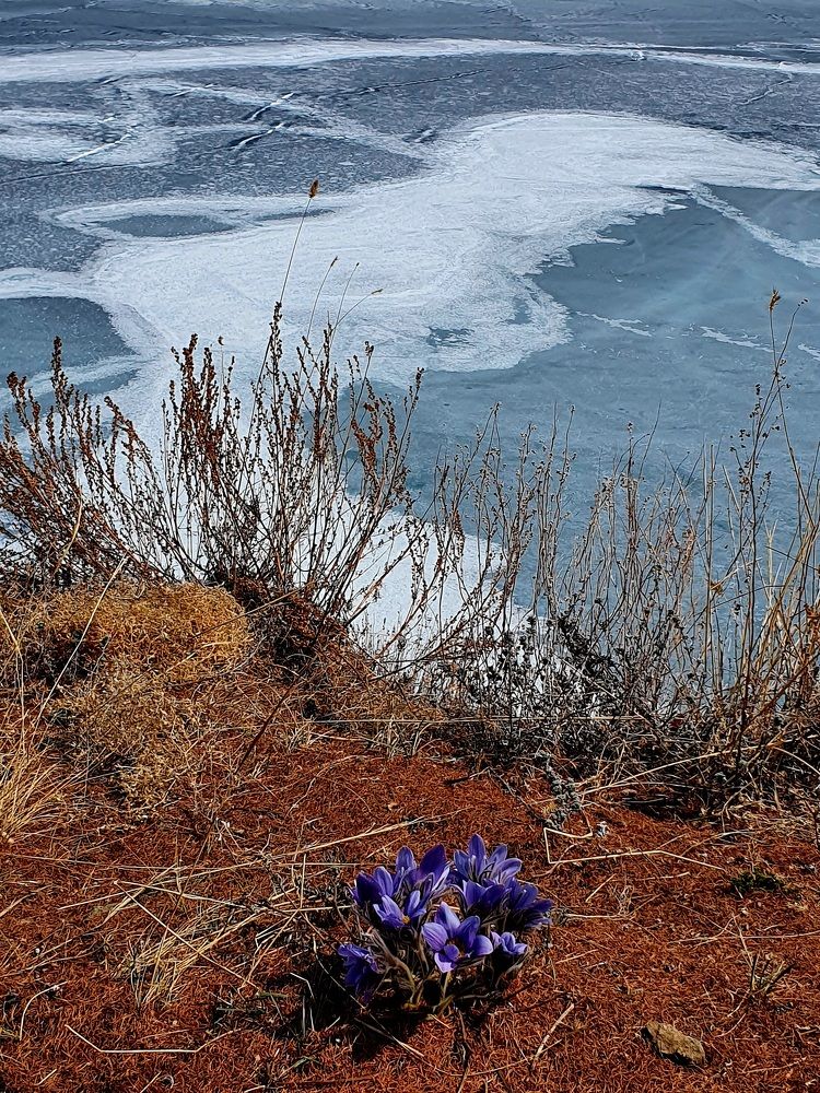 Photograph by Александра Борисовна