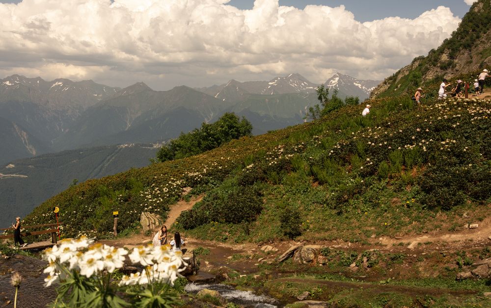 Photograph by Ольга Салтыкова