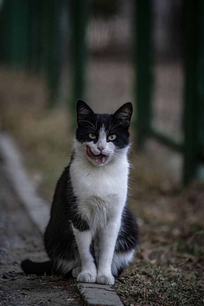 Photograph by Крупченко Роман