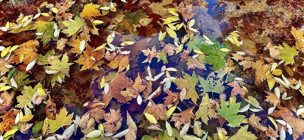 Photograph by Javier Subiza Garrido-Lestache