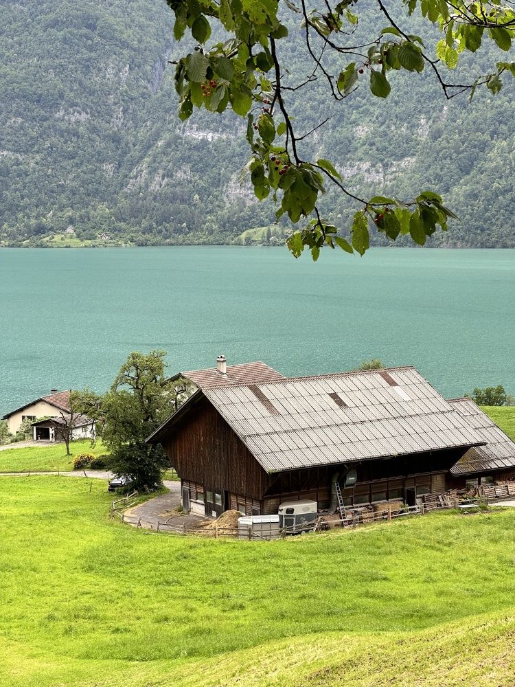 Photograph by Елена Брижеватая