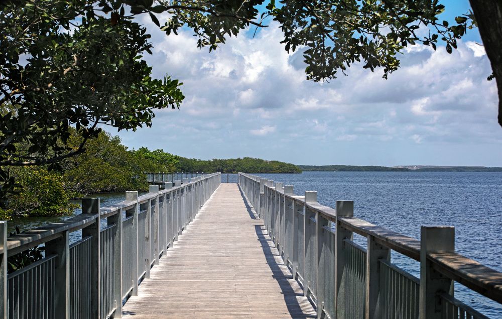 Фотография автора Татьяна Анпилова