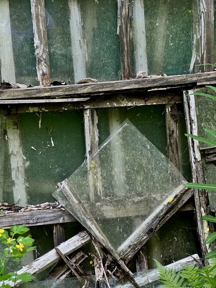 Photograph by Елена Брижеватая