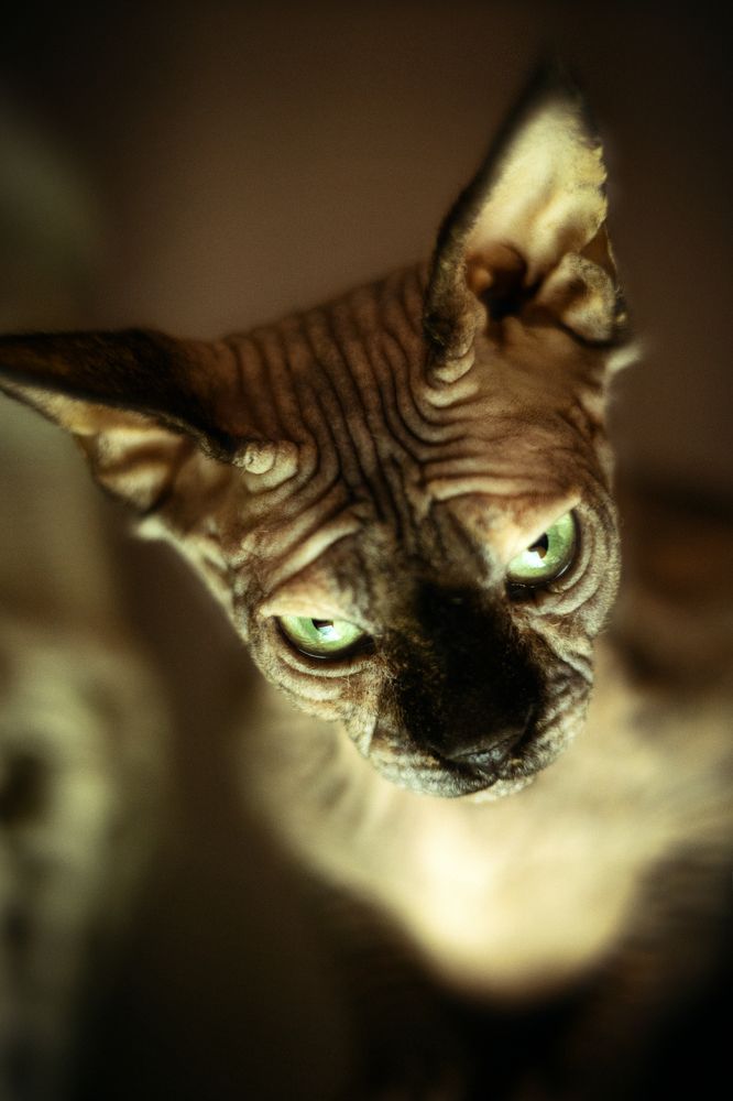 Photograph by Игорь Федянин