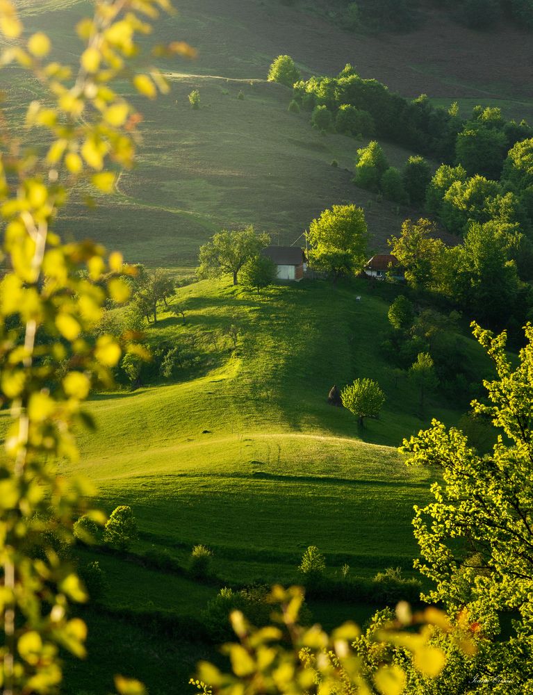 Фотография автора Ioana Crisan