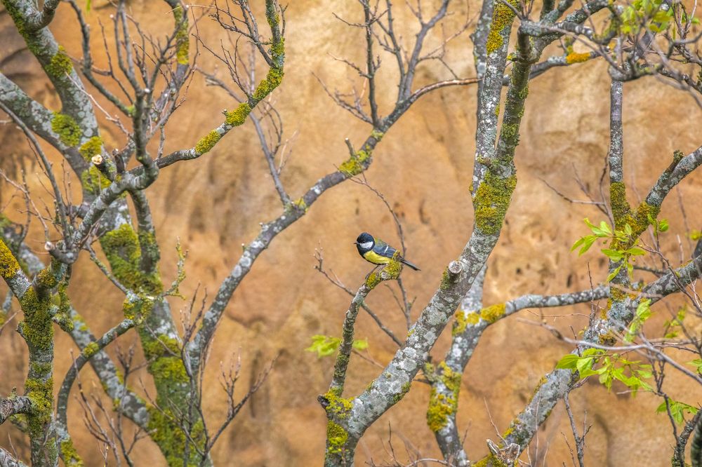 Photograph by Власов Егор