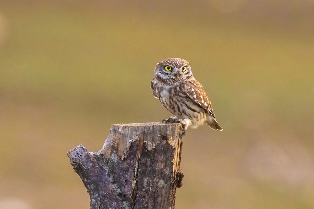 Photograph by Власов Егор